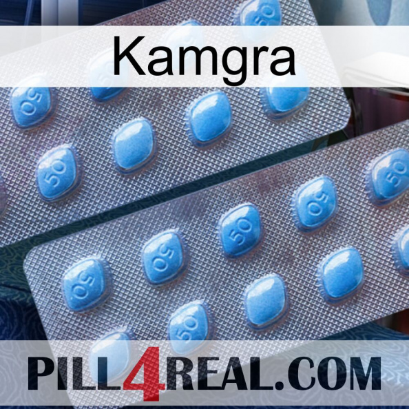 Kamgra viagra4.jpg